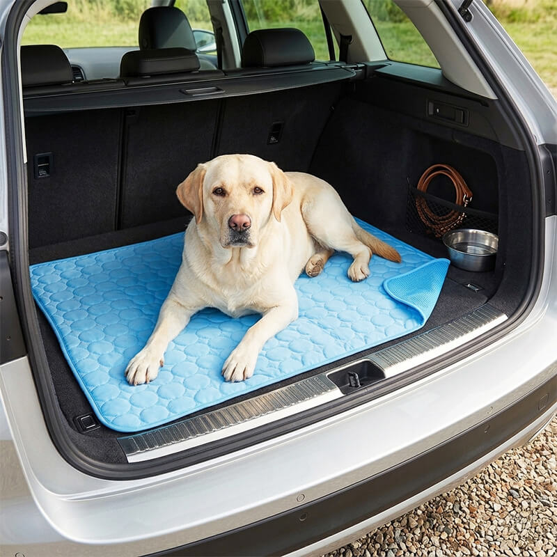 Ein heller Labrador liegt tiefenentspannt auf einer blauen, selbstkühlenden Kühlmatte im geöffneten Kofferraum eines Autos. Eine Ecke der Gel-freien Hundematte ist umgeschlagen und zeigt die atmungsaktive Mesh-Unterseite. Im Hintergrund des Kofferraums sind ein Wassernapf und eine aufgerollte Leine in einem Seitennetz zu erkennen.