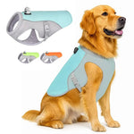kühlweste hund in 3 verschiedenen Farben. Blau, Grün und Orange