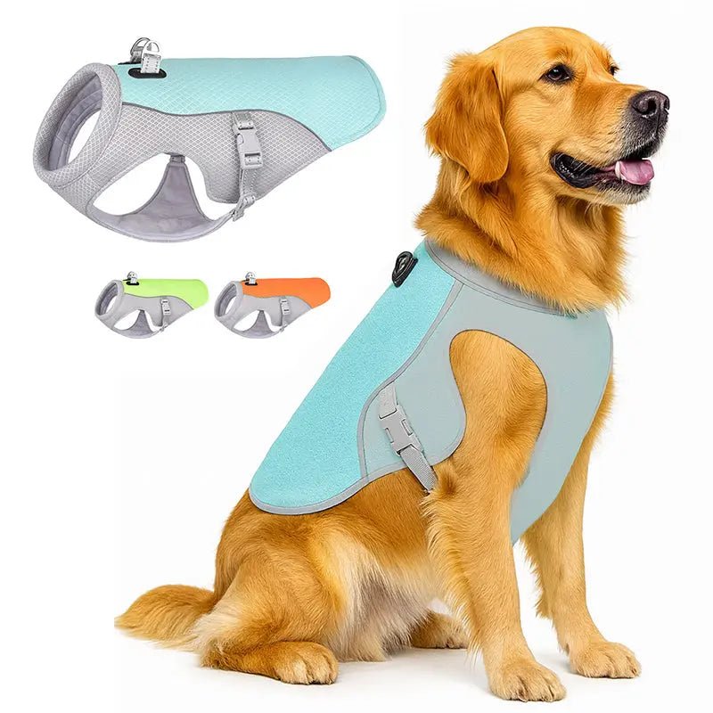 kühlweste hund in 3 verschiedenen Farben. Blau, Grün und Orange