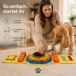Besitzerin versteckt Leckerlis im Leckerli-Teppich für Hunde, während der Hund auf die anschließende Schnüffel- und Suchbeschäftigung wartet.