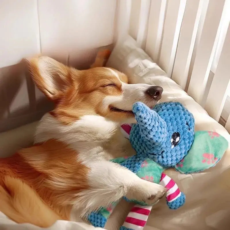 Elefant Ella - Interaktives Hunde Spielzeug - canivoa.de