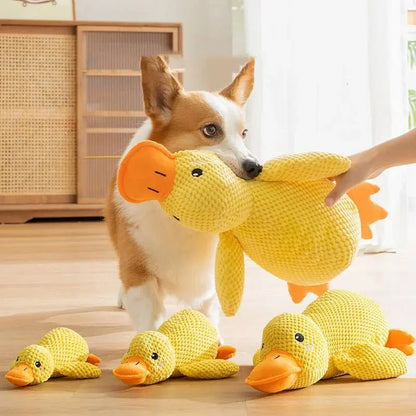 Ente Emil - Interaktives Hunde Spielzeug - canivoa.de