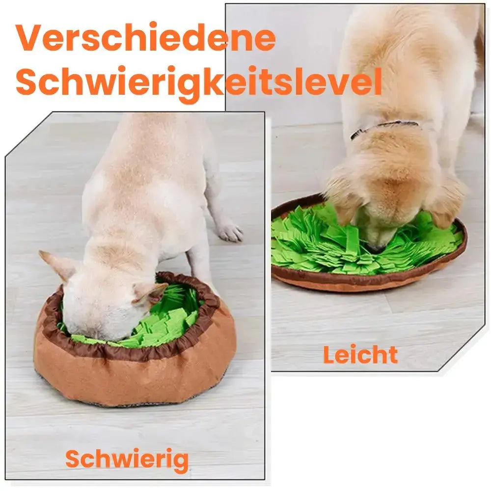 Canivoa - Hunde Schnüffelteppich - canivoa.de