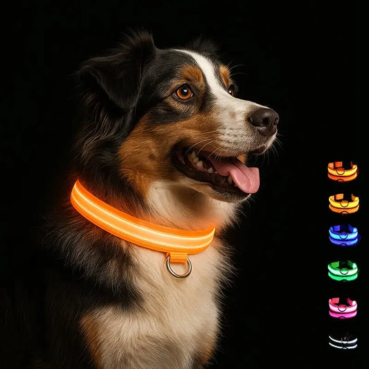 LED Hundehalsband - wiederaufladbar