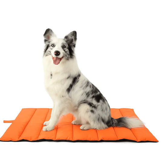 Outdoor Hundebett in Orange mit Hund