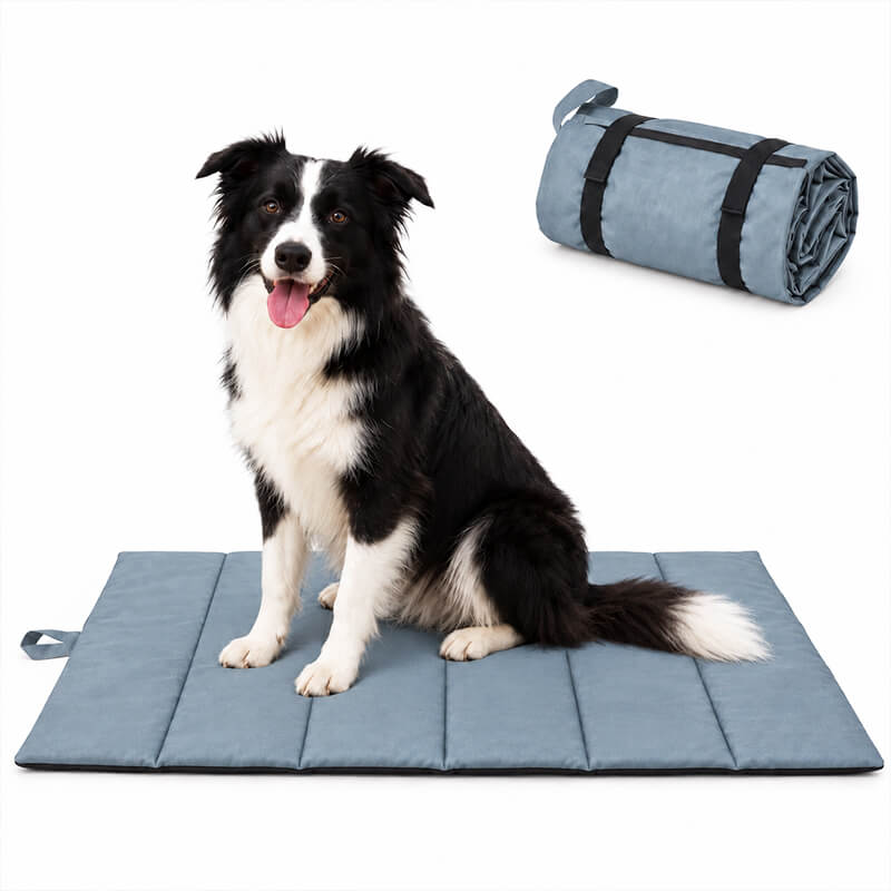 Graue Outdoor Hundematte Rastia, faltbar und wasserfest, mit Border Collie und zusammengerollter Matte