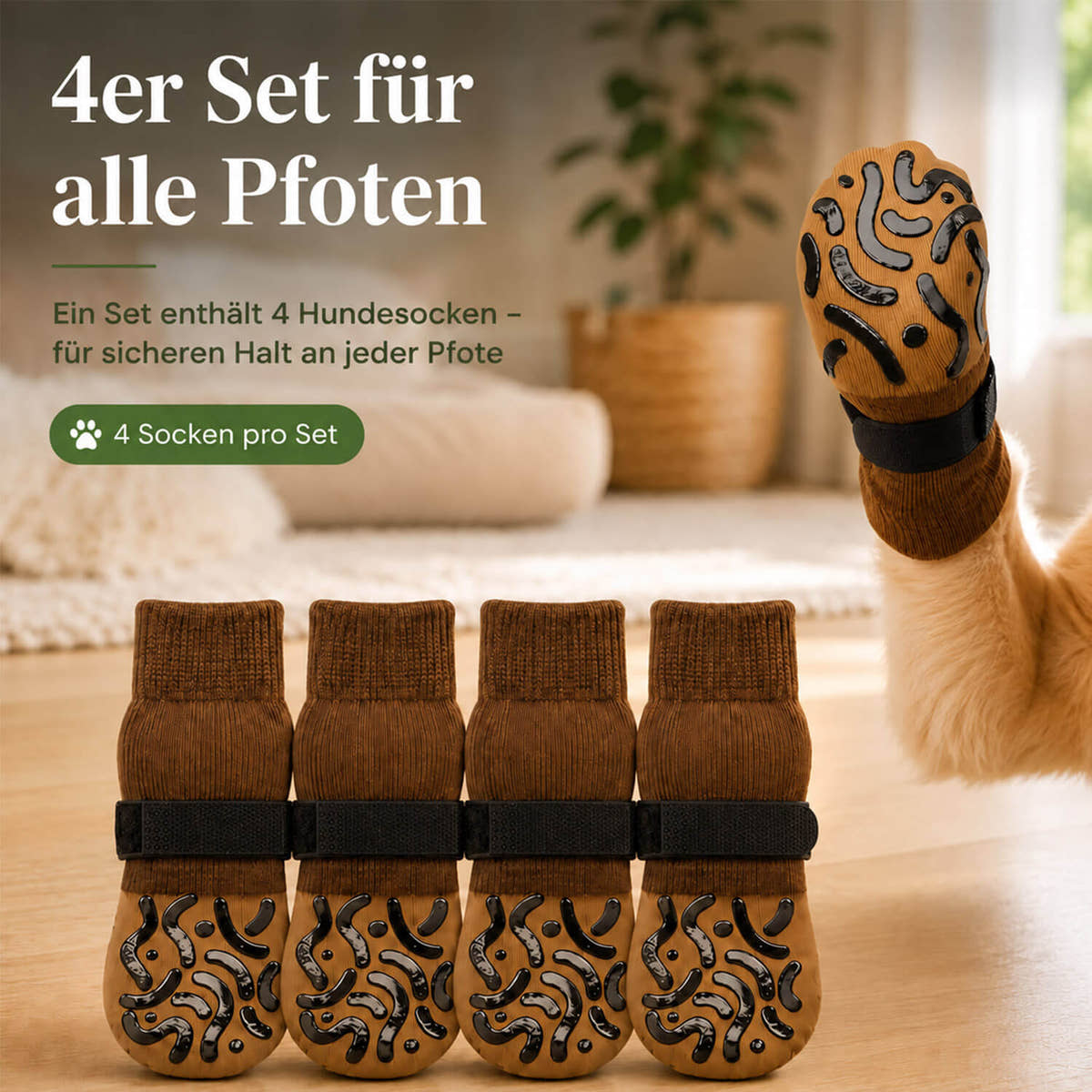 Vier braune Pfotensocken für Hunde im Set, rutschfest mit Silikon-Noppen und schwarzem Klettverschluss.