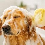 Bade- und Massagebürste aus Silikon für Hunde & Katzen - canivoa.de