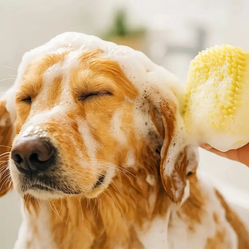 Bade- und Massagebürste aus Silikon für Hunde & Katzen - canivoa.de