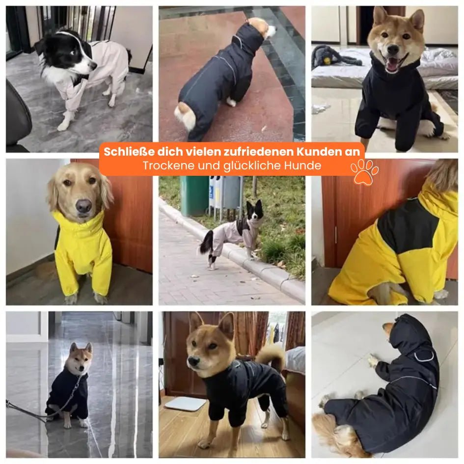 Regenmantel für Hunde in verschiedenen Größen – verstellbare Hunderegenjacke wasserdicht & atmungsaktiv