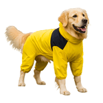 Nahaufnahme wasserdichter Stoff – strapazierfähiger Regenmantel für Hunde, winddicht & langlebig