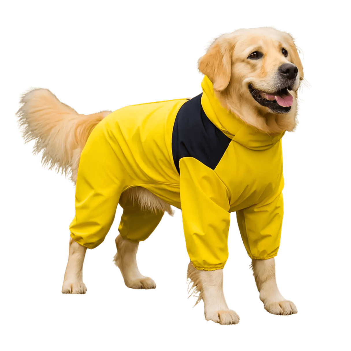 Nahaufnahme wasserdichter Stoff – strapazierfähiger Regenmantel für Hunde, winddicht & langlebig