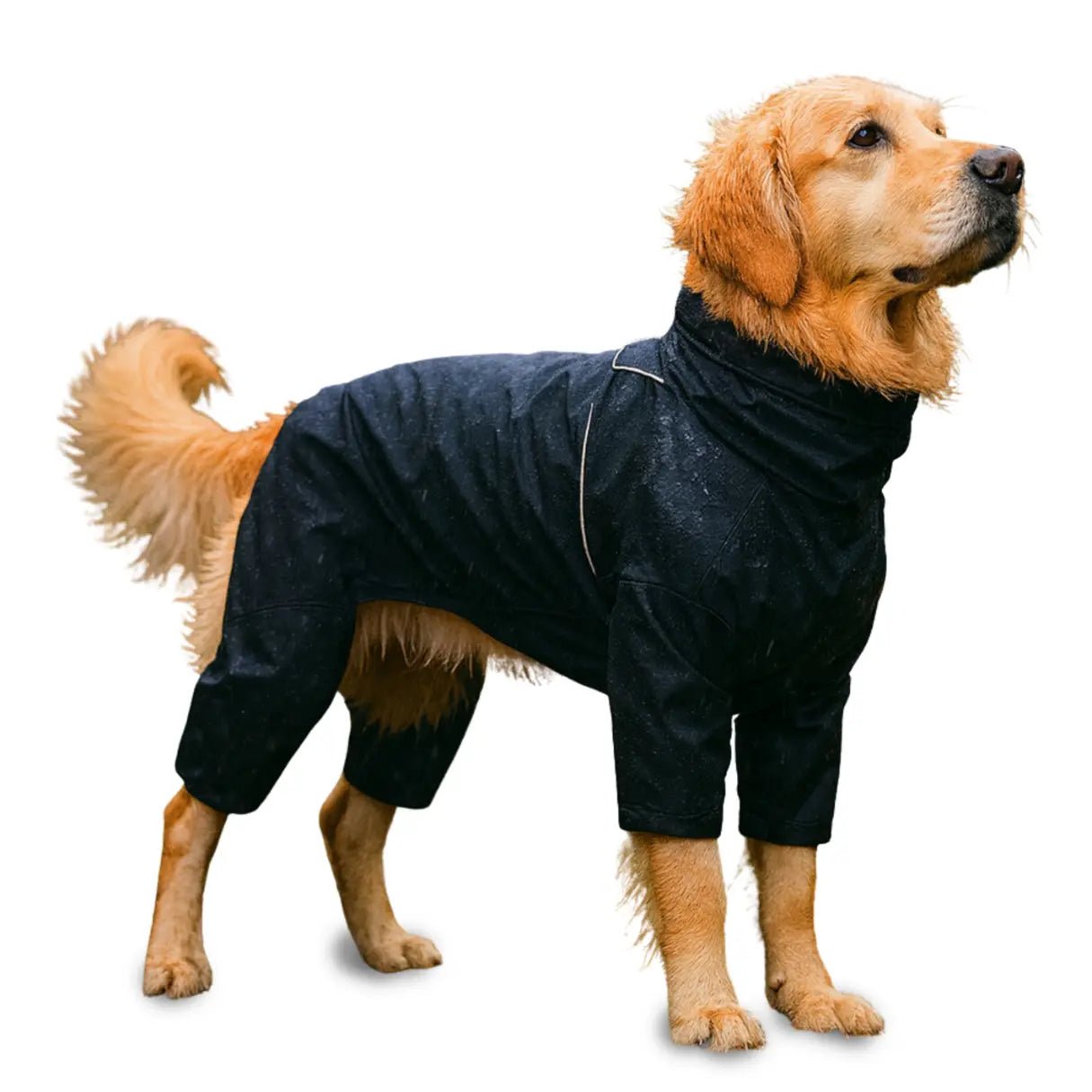 Nahaufnahme wasserdichter Stoff – strapazierfähiger Regenmantel für Hunde, winddicht & langlebig