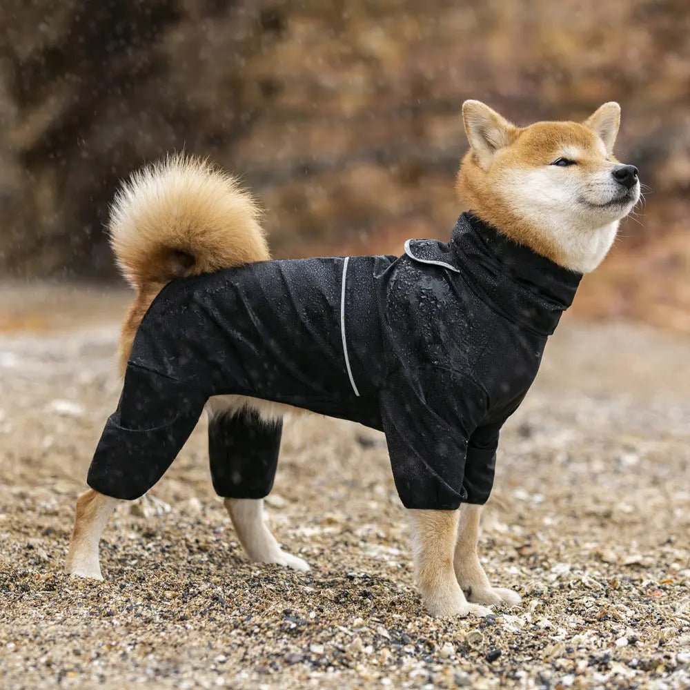 Outdoor Hunde Regenjacke – wasserdichter Regenmantel für den Hund, schützt bei Spaziergang & Training