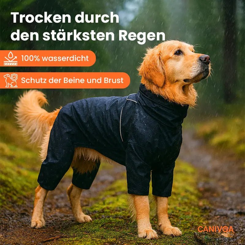 Outdoor Hunde Regenjacke – wasserdichter Regenmantel für den Hund, schützt bei Spaziergang & Training