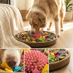 Eine Collage aus vier Bildern zeigt einen Schnüffelteppich für Hunde im Detail. Das obere Bild zeigt einen Australian Shepherd, der an dem runden Teppich im hellen Wohnzimmer schnüffelt. Drei kleinere Bilder unten bieten Nahaufnahmen: links die Hundenase bei der Nasenarbeit an gelben und blauen Fleece-Streifen; mittig das stachlige rosa Gummizentrum mit Futterstücken gefüllt; rechts den braunen Rand und die dichten Fleece-Stücke. Ein interaktives Hundespielzeug zur mentalen Auslastung durch Leckerli-Suche.