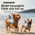 Schwimmweste für Hunde mit bewegungsfreundlichem Schnitt – Golden Retriever und Französische Bulldogge beim Laufen und Spielen am Strand.