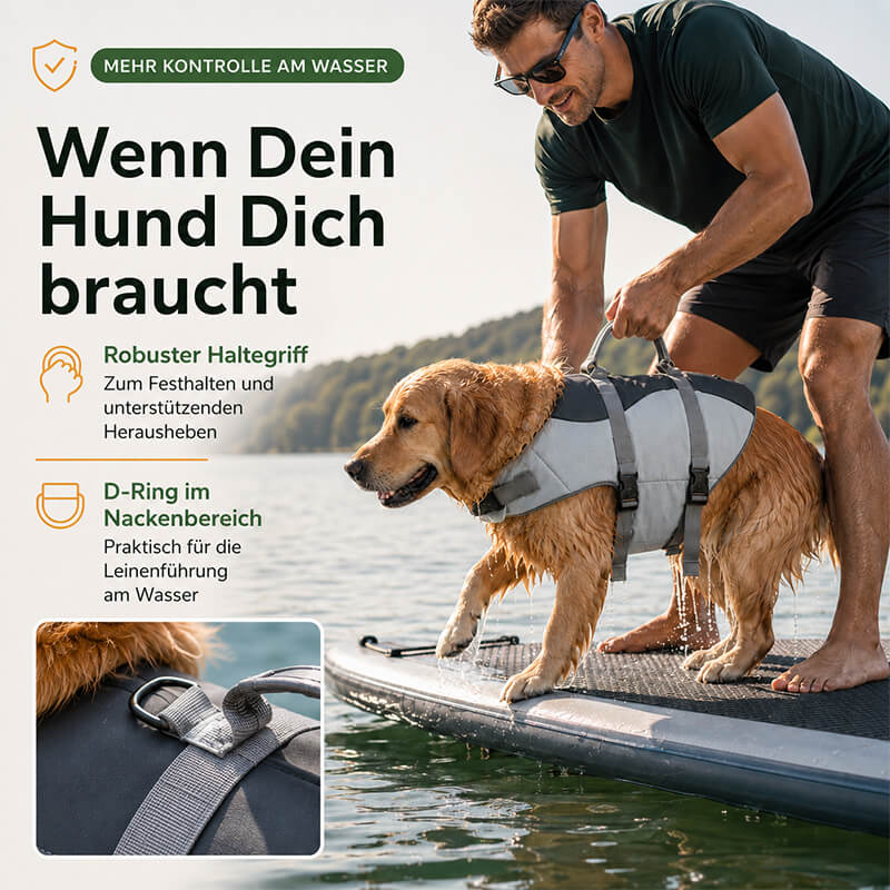 Hund mit Schwimmweste auf einem SUP – robuster Haltegriff und D-Ring im Nackenbereich für mehr Kontrolle und Unterstützung am Wasser.