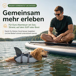 Golden Retriever mit Hunde Schwimmweste beim Schwimmen neben einem SUP auf dem See.