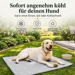 Ein heller Labrador liegt entspannt an einem sonnigen Tag auf dem Rasen im Garten auf einer grauen, selbstkühlenden Hundematte. Vor ihm auf der Matte liegt ein gelber Tennisball. Ein Text im oberen Bildbereich hebt die Hauptvorteile hervor: "Sofort angenehm kühl für deinen Hund – Ganz ohne Strom, Gel oder Kühlschrank". Drei zusätzliche Icons mit Text verdeutlichen, dass die Matte eine automatische Kühlung bietet, zu 100% sicher für das Tier ist und sich ideal für heiße Sommertage eignet.