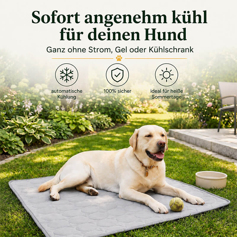 Ein heller Labrador liegt entspannt an einem sonnigen Tag auf dem Rasen im Garten auf einer grauen, selbstkühlenden Hundematte. Vor ihm auf der Matte liegt ein gelber Tennisball. Ein Text im oberen Bildbereich hebt die Hauptvorteile hervor: "Sofort angenehm kühl für deinen Hund – Ganz ohne Strom, Gel oder Kühlschrank". Drei zusätzliche Icons mit Text verdeutlichen, dass die Matte eine automatische Kühlung bietet, zu 100% sicher für das Tier ist und sich ideal für heiße Sommertage eignet.