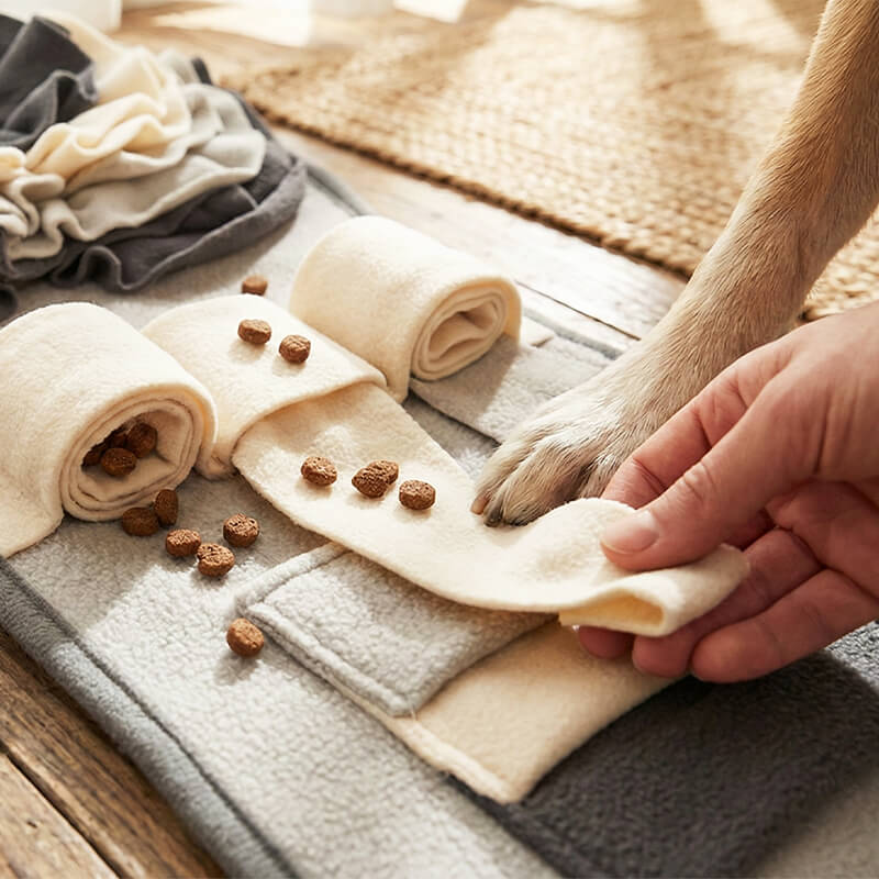 Hand öffnet eine Vliesrolle der Suchmatte mit versteckten Leckerlis, daneben wartet die Pfote des Hundes