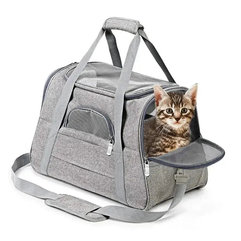 Transporttasche Hund & Katze Flugzeug – Airline Approved Haustiertragetasche mit Mesh & Handgepäckgröße